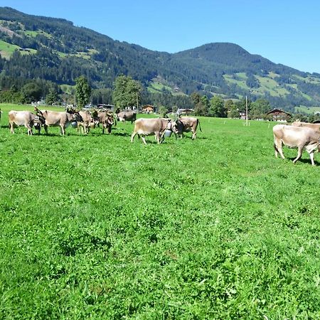 Ferienhaus Oberhuben Fugenberg Bagian luar foto